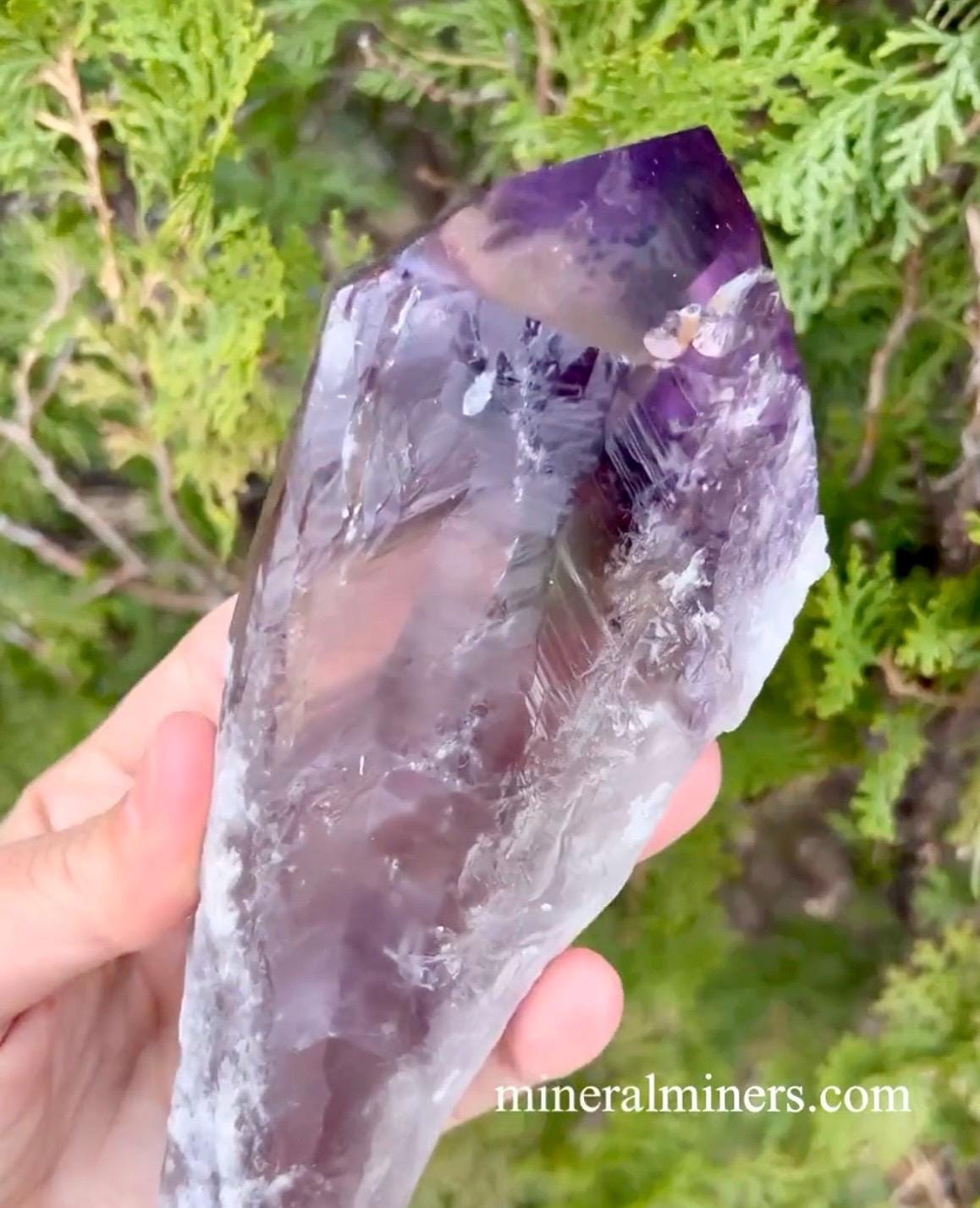 8.2 Inch Ametrine Wand, Raw Ametrine, Brazilian Ametrine Point, Amethyst And Citrine Laser, Natural Color Zone Ametrine, Citrine Phantom Gem
