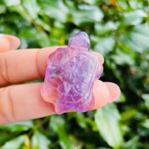 Ametrine Crystal Turtle Carving: Polished Amethyst Citrine Quartz (13.8G, 38x27mm) Ametrine Crystal Turtle Carving: Polished Amethyst Citrine Quartz (13.8G, 38x27mm)