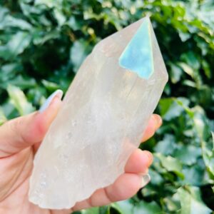 Xl Angel Aura Quartz Point: Half Polished Raw Crystal (121x60 Mm) 413g