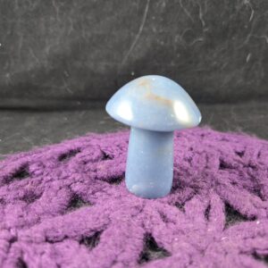 Angelite Carved Mushroom Funky Stones Blue Crystal Carving Trippy Mushie Shroom fungi fungus garden decor Angelite Carved Mushroom Funky Stones Blue Crystal Carving Trippy Mushie Shroom fungi fungus garden decor