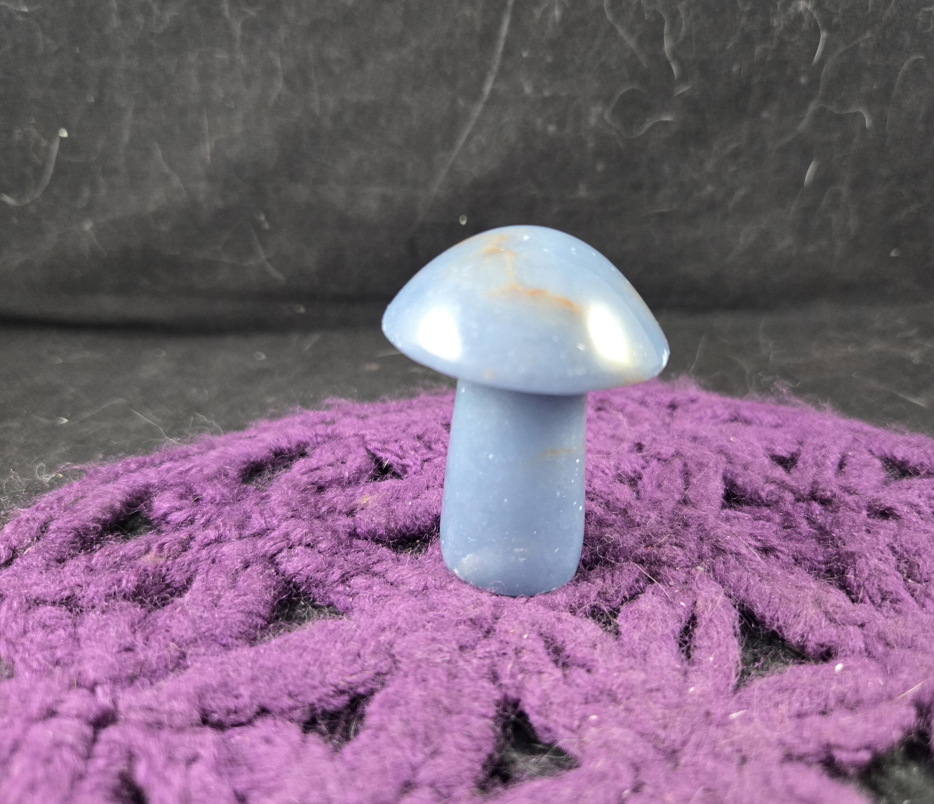 Angelite Carved Mushroom Funky Stones Blue Crystal Carving Trippy Mushie Shroom Fungi Fungus Garden Decor