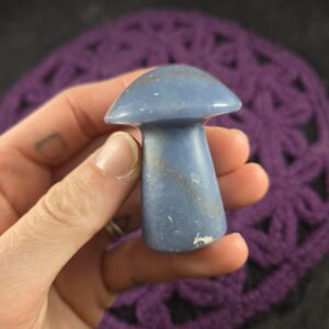 Angelite Carved Mushroom Funky Stones Blue Crystal Carving Trippy Mushie Shroom Fungi Fungus Garden Decor Angelite Carved Mushroom Funky Stones Blue Crystal Carving Trippy Mushie Shroom Fungi Fungus Garden Decor
