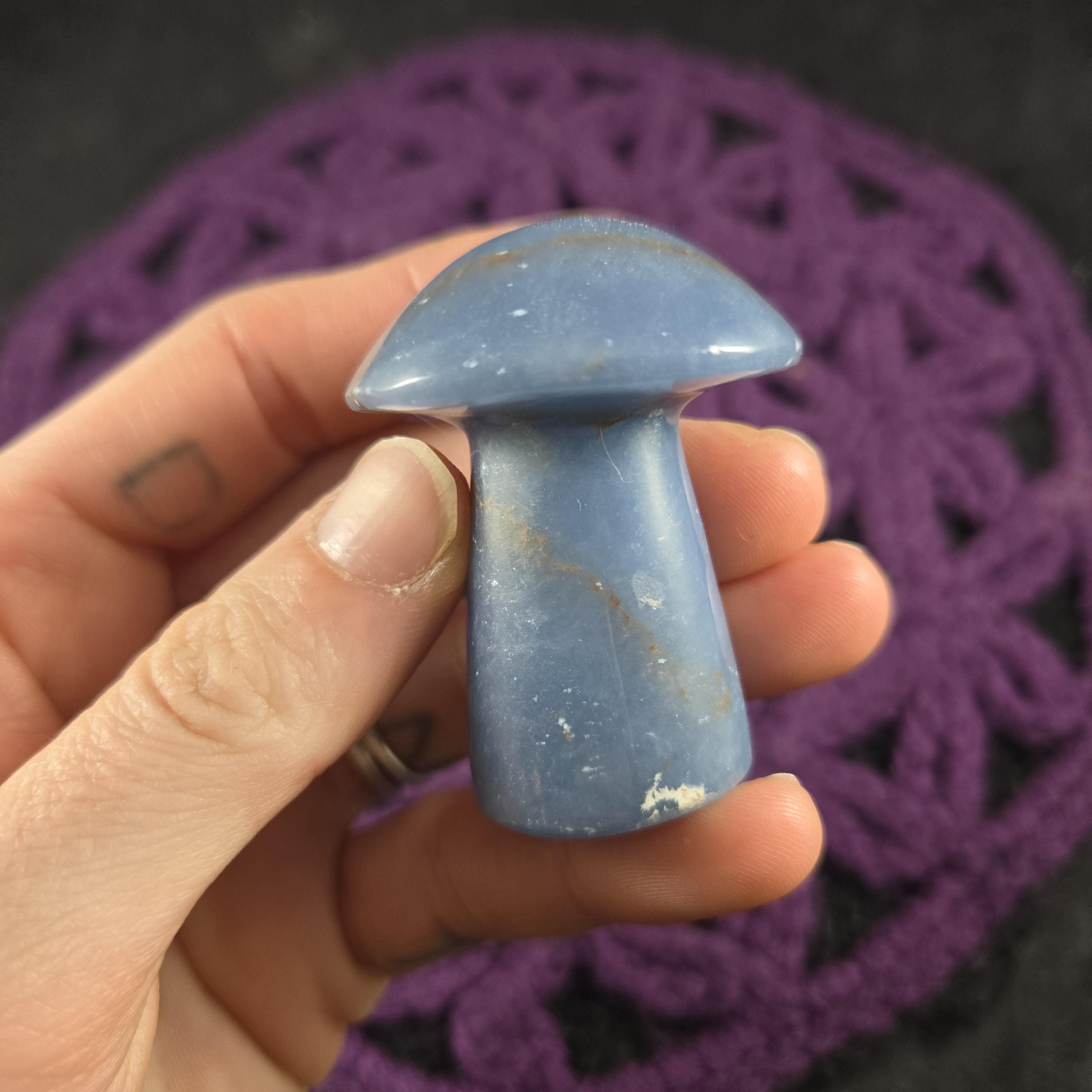 Angelite Carved Mushroom Funky Stones Blue Crystal Carving Trippy Mushie Shroom Fungi Fungus Garden Decor