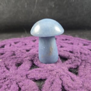 Angelite Carved Mushroom Funky Stones Blue Crystal Carving Trippy Mushie Shroom fungi fungus garden decor Angelite Carved Mushroom Funky Stones Blue Crystal Carving Trippy Mushie Shroom fungi fungus garden decor