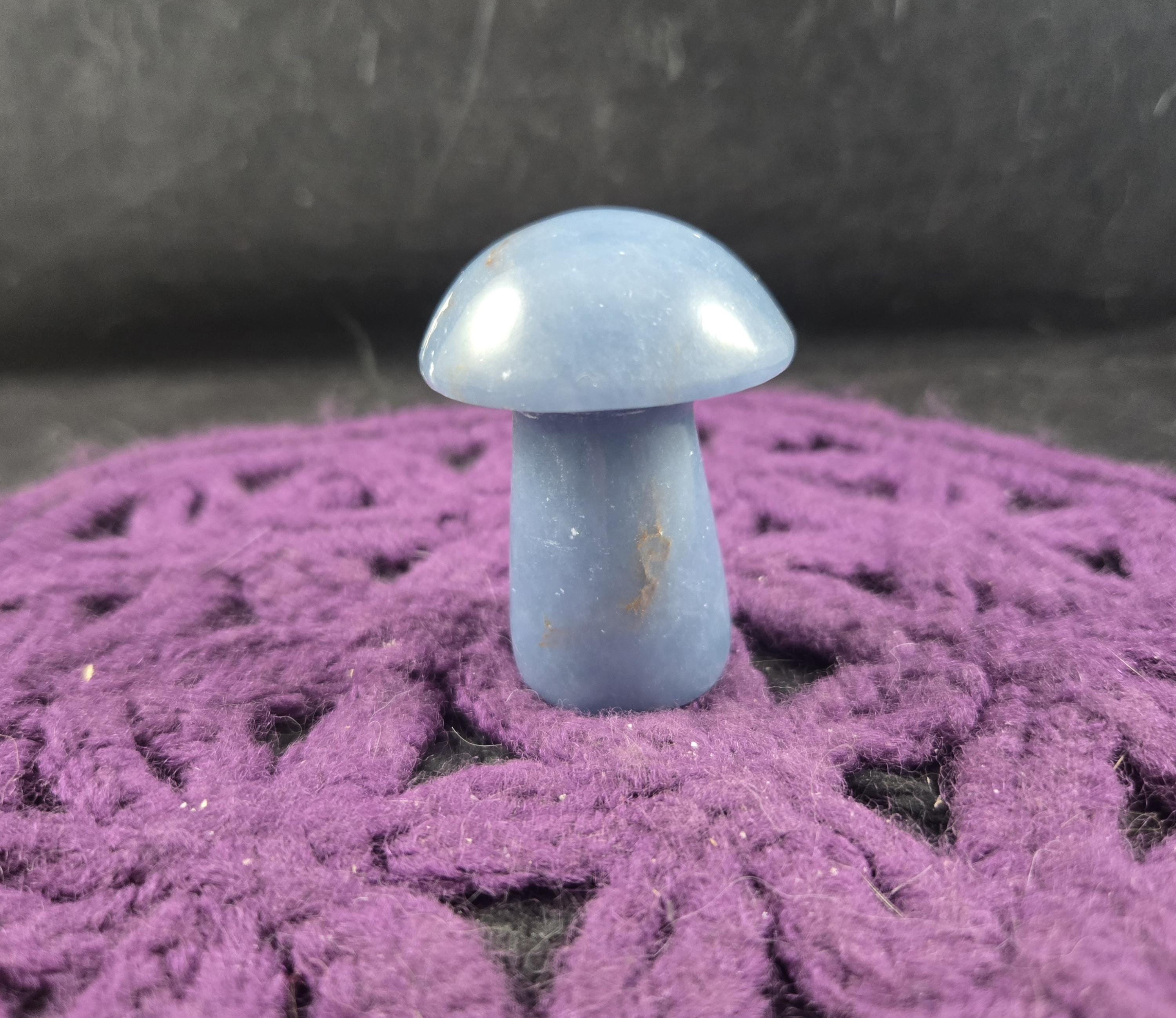 Angelite Carved Mushroom Funky Stones Blue Crystal Carving Trippy Mushie Shroom Fungi Fungus Garden Decor Angelite Carved Mushroom Funky Stones Blue Crystal Carving Trippy Mushie Shroom Fungi Fungus Garden Decor