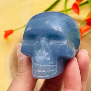 Angelite Crystal Skull, Realistic Detail Fine Art Sculpture, Metaphysical Crystal, 2 Inch Angelite Crystal Skull, Realistic Detail Fine Art Sculpture, Metaphysical Crystal, 2 Inch