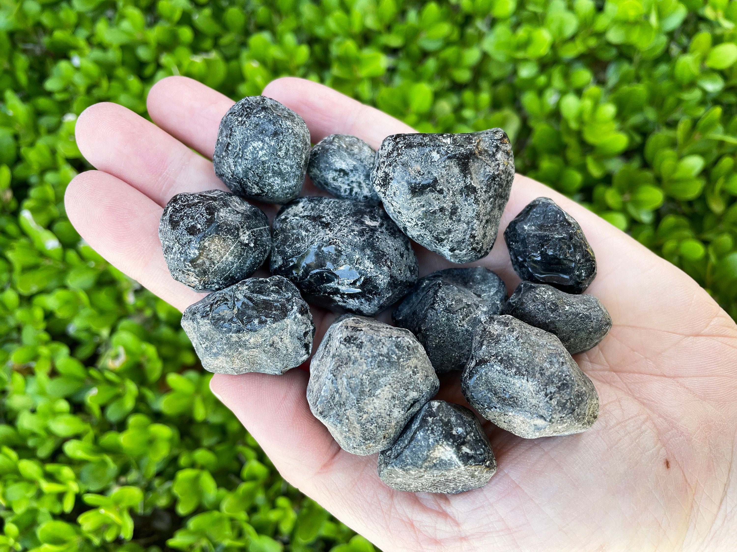 Apache Tears Raw Crystal - 0.75- 1" - Natural Apache Tears Crystal - Healing Crystals & Stones - Rough Obsidian Apache Tears