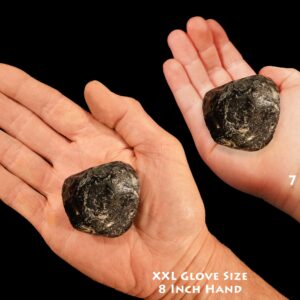 RARE APACHE TEAR 2" Rough Rock Minerals Raw Root Chakra Crystal Raw Natural Specimen Reiki Stone xx
