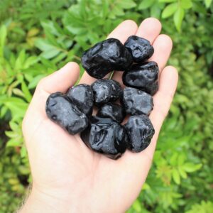 Apache Tears Rough Natural Stones: Choose How Many ('A' Grade Raw Obsidian Crystals)