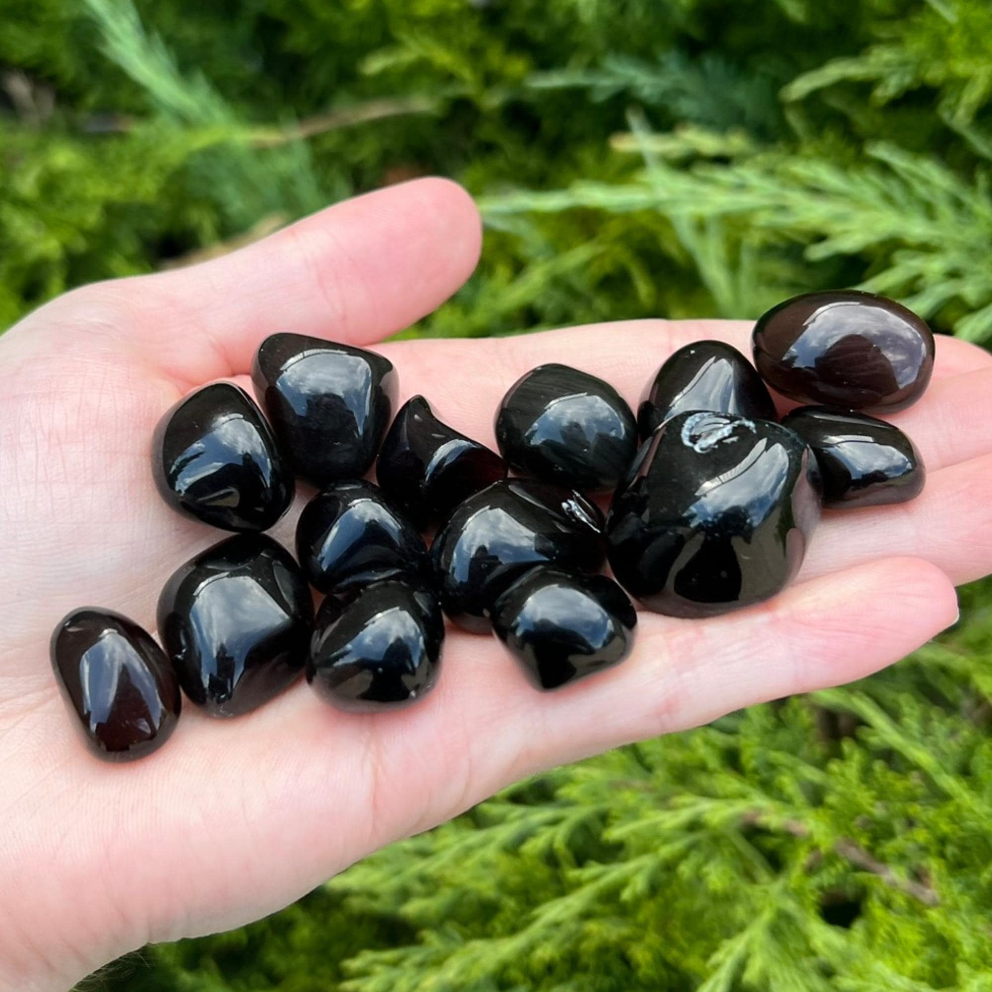 Apache Tear - Ethically Sourced From Arizona, Usa - 0.5" - 1.25" Inch Tumbled Stones Apache Tear - Ethically Sourced From Arizona, Usa - 0.5" - 1.25" Inch Tumbled Stones