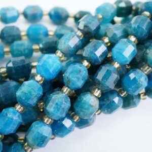 Blue Apatite Beads (barrel)(faceted)(8x7mm)(16"strand)