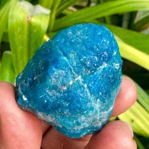 Raw Blue Apatite Chunk, Reiki Healing Crystal