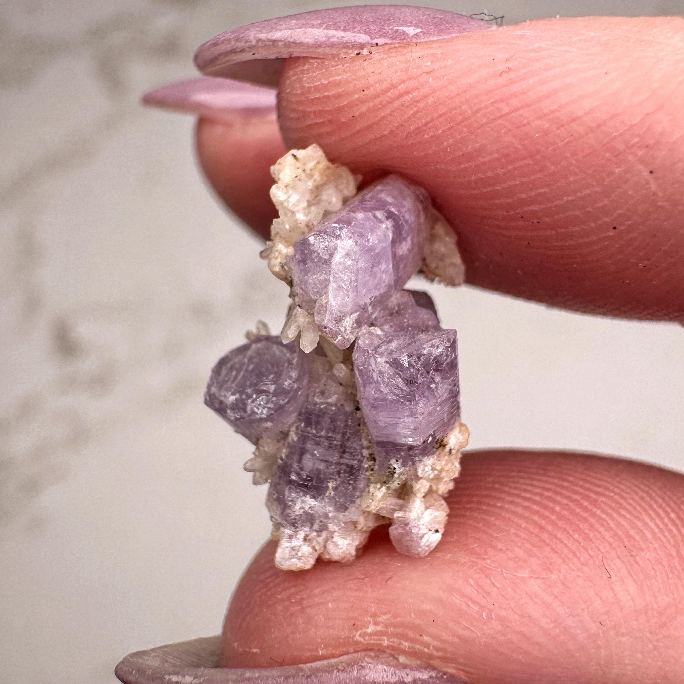 Purple Apatite | 1g | - #1 (raw Crystal Specimen, Crown Chakra, Healing Stone, Intuition) Purple Apatite | 1g | - #1 (raw Crystal Specimen, Crown Chakra, Healing Stone, Intuition)