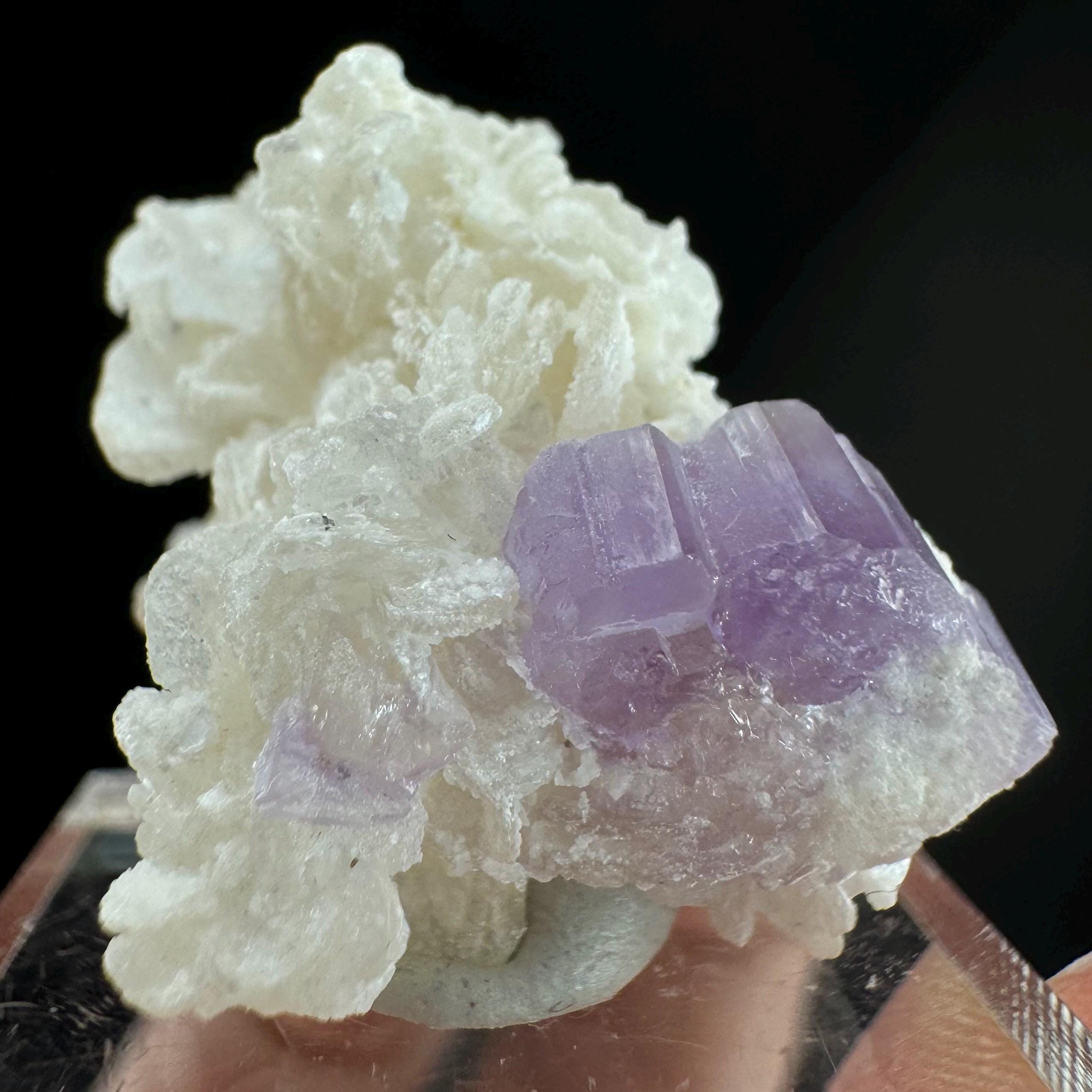Purple Fluorapatite Crystal With Albite | Mineral Specimen