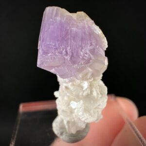 Purple Fluorapatite Crystal on Albite | Mineral Specimen