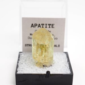 Yellow Apatite Crystal Mexico Thumbnail Mineral Specimen Perky Box