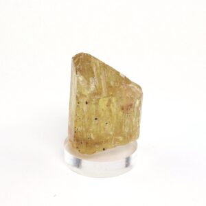 Yellow Apatite Crystal Mineral Specimen: Durango, Mexico (29mm x 21mm x 20mm)