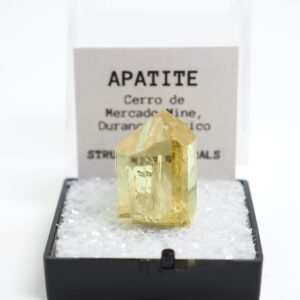 Yellow Apatite  Mexico Crystal Mineral Specimen Thumbnail Box