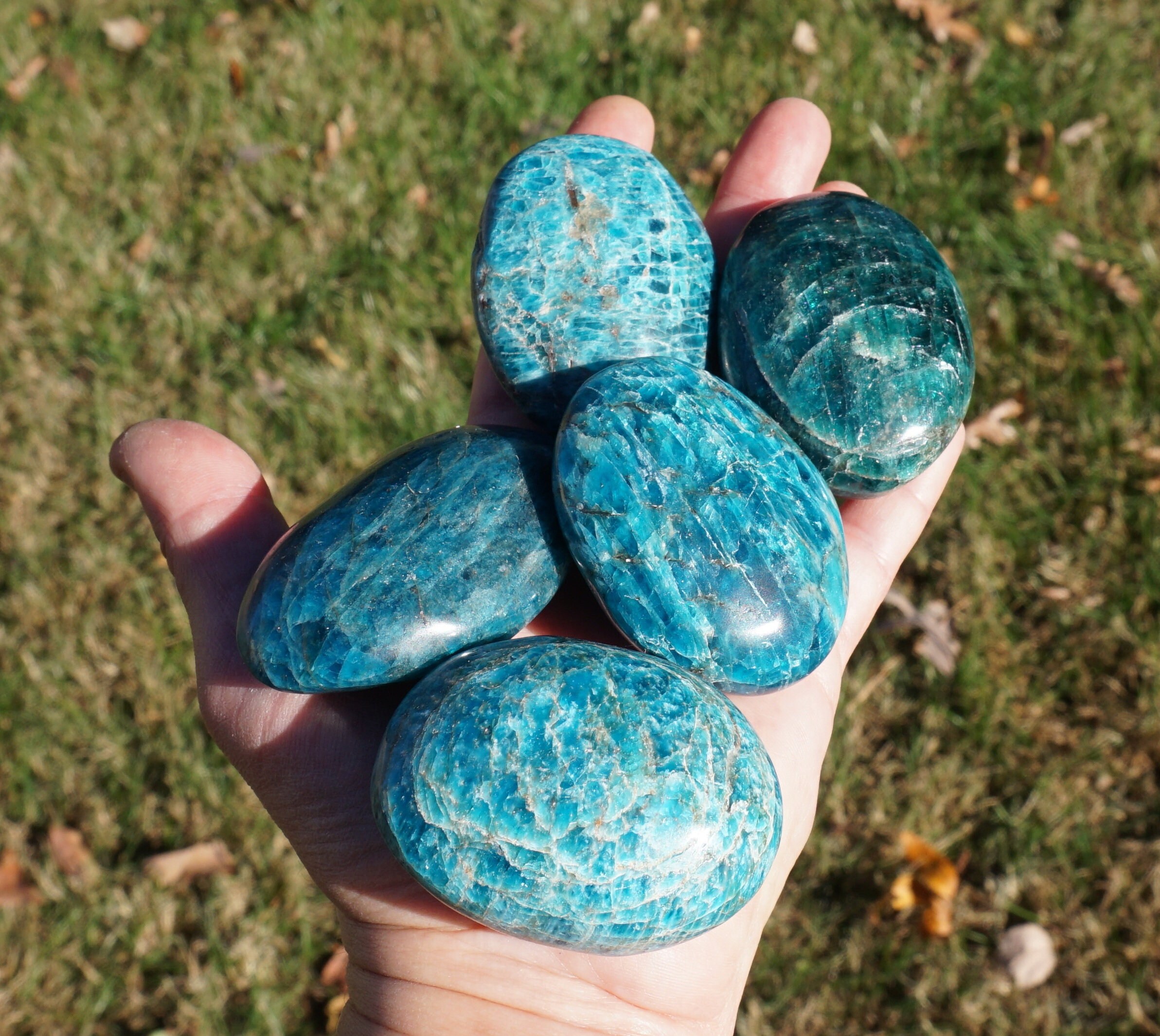 Blue Apatite Pebble One Polished Palm Stone - Approximately 2"