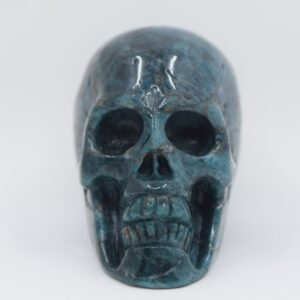 Large Apatite Skull Large Apatite Skull