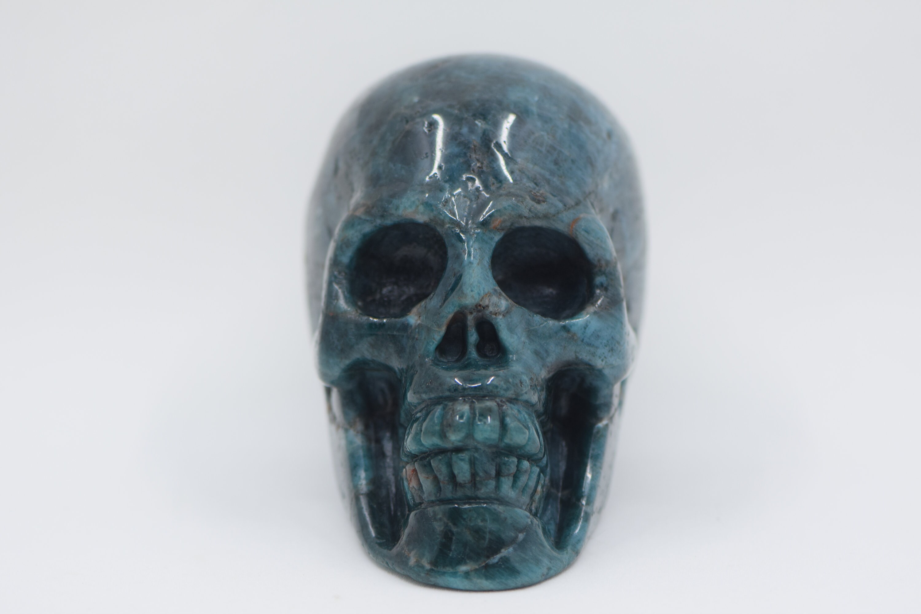 Large Apatite Skull