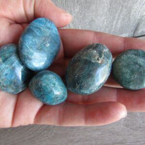 Blue Apatite 1" Plus Tumbled Stone