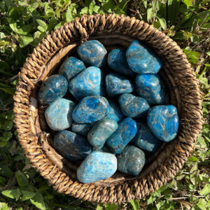 Blue Apatite Tumbled Stones – Healing Crystals (35/55mm