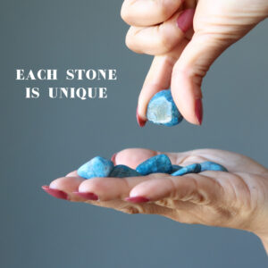 Apatite Tumbled Stones Blue Burst Healthy Body Lifestyle