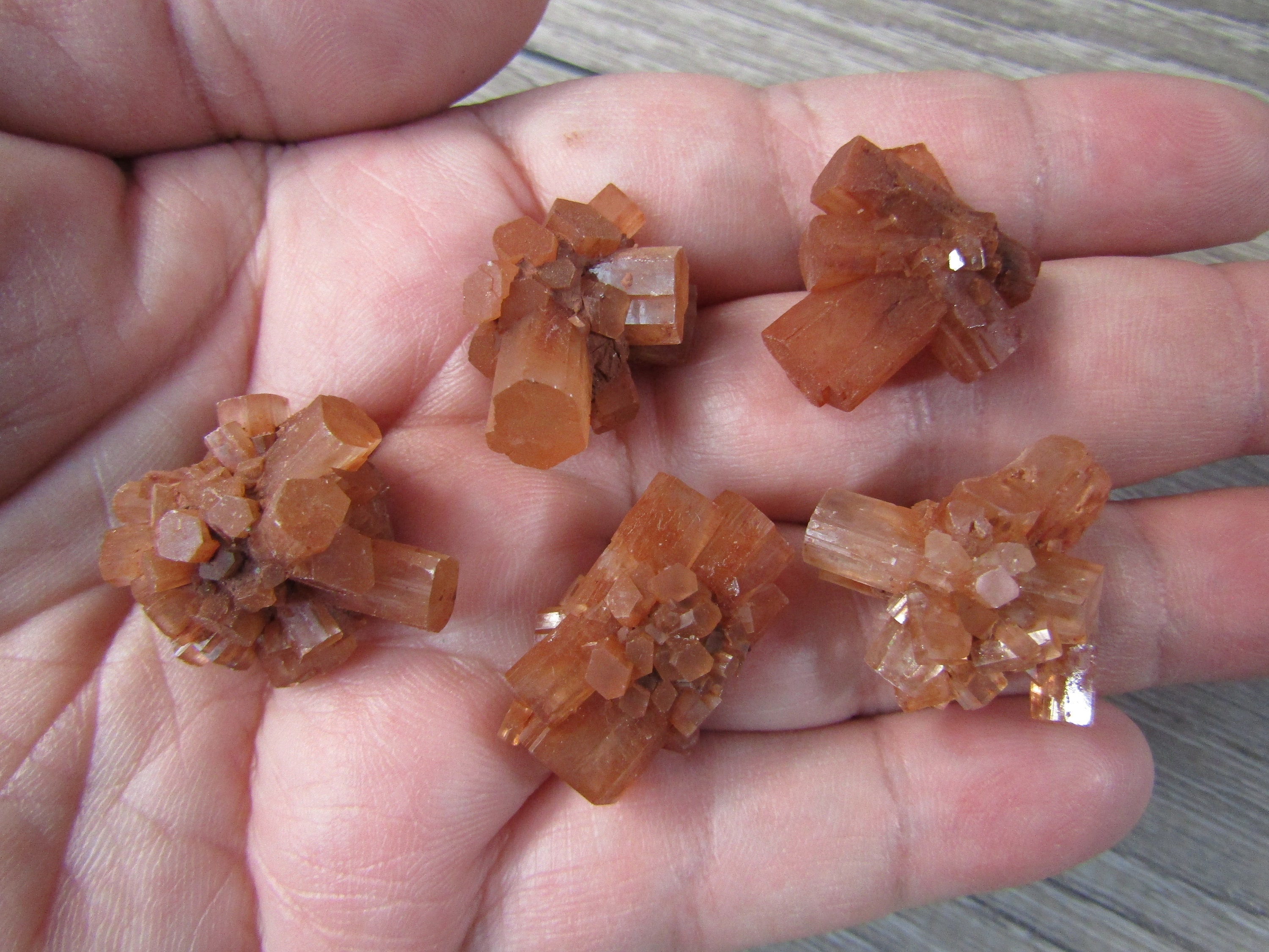 Aragonite 1 Inch + Raw Crystal Aragonite 1 Inch + Raw Crystal