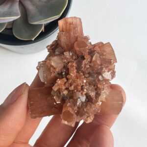 Raw Aragonite Cluster, Aragonite Specimen Raw Aragonite Cluster, Aragonite Specimen