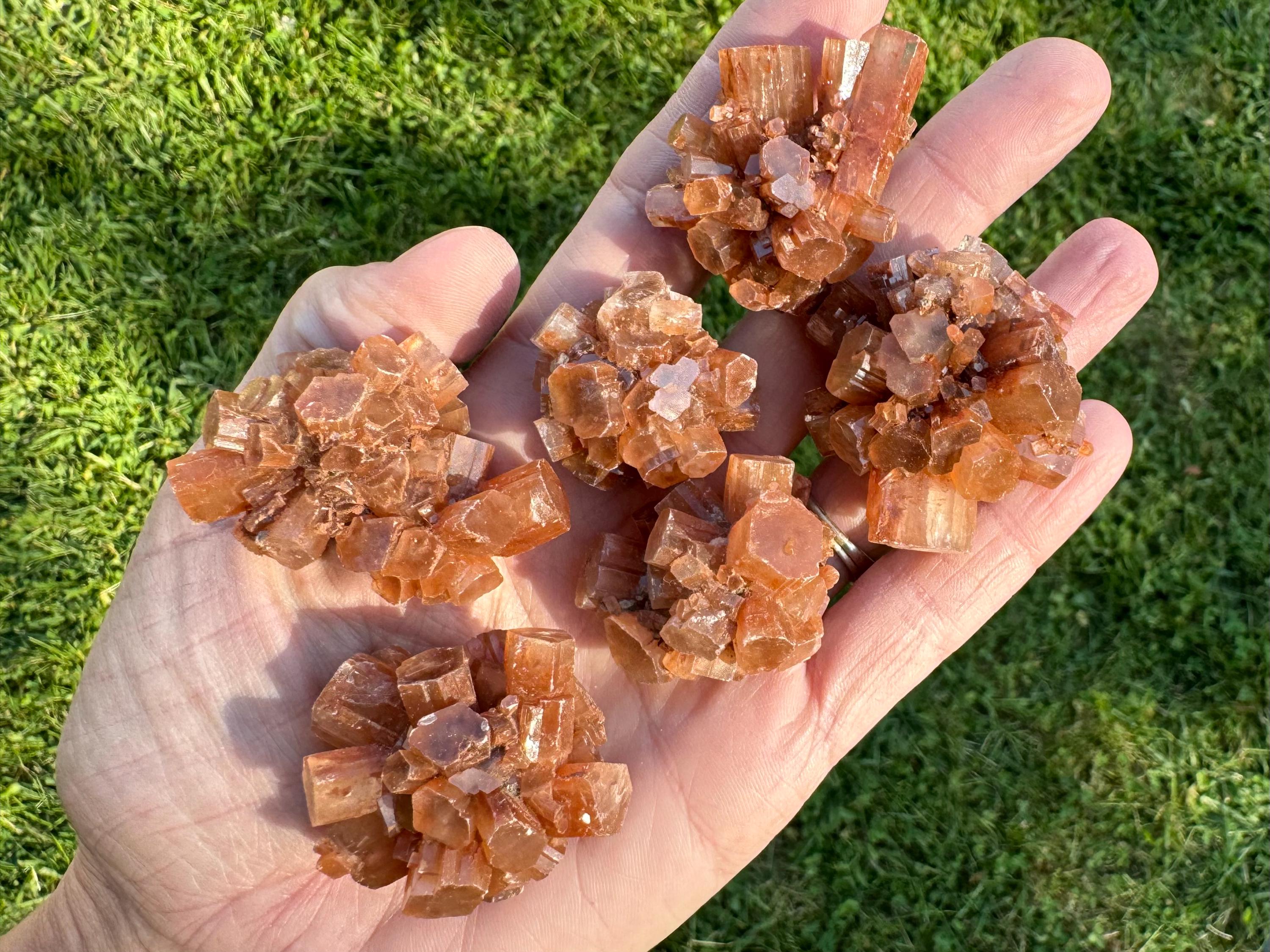 Set Of 6 Aragonite Crystal Clusters - Orange Natural Raw Stones From Morocco #1