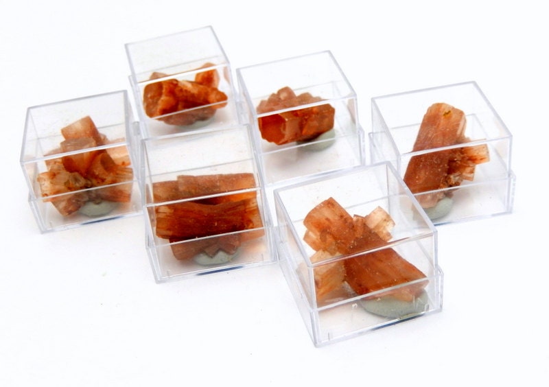 Aragonite Specimen Crystal In A Gem Collector Case