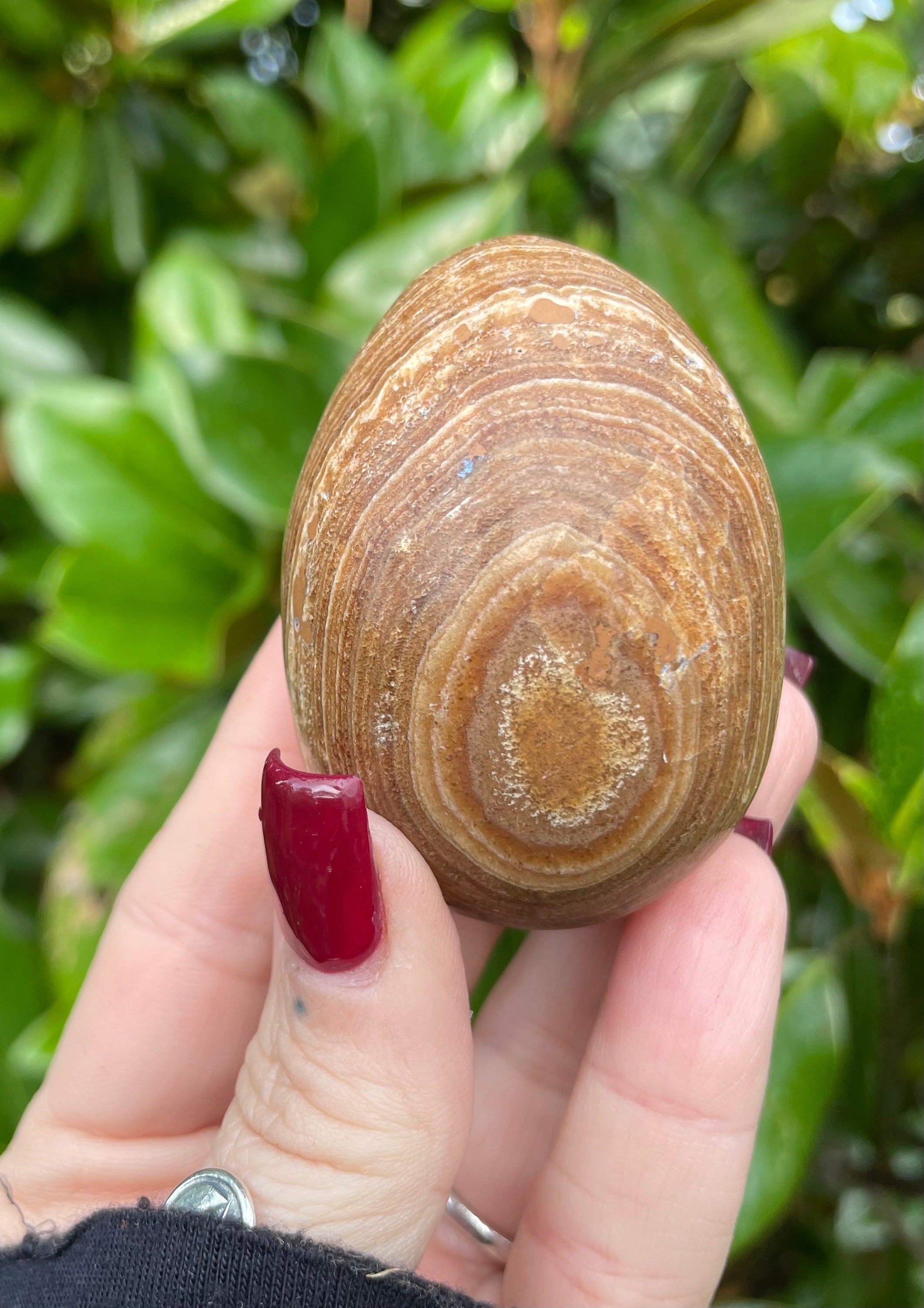 Brown Aragonite, Brown Aragonite Egg