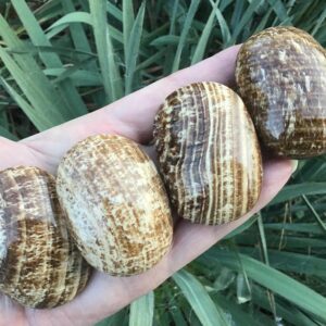 ARAGONITE CRYSTAL PALM Stones - Pocket, Reiki Healing Stones ARAGONITE CRYSTAL PALM Stones - Pocket, Reiki Healing Stones
