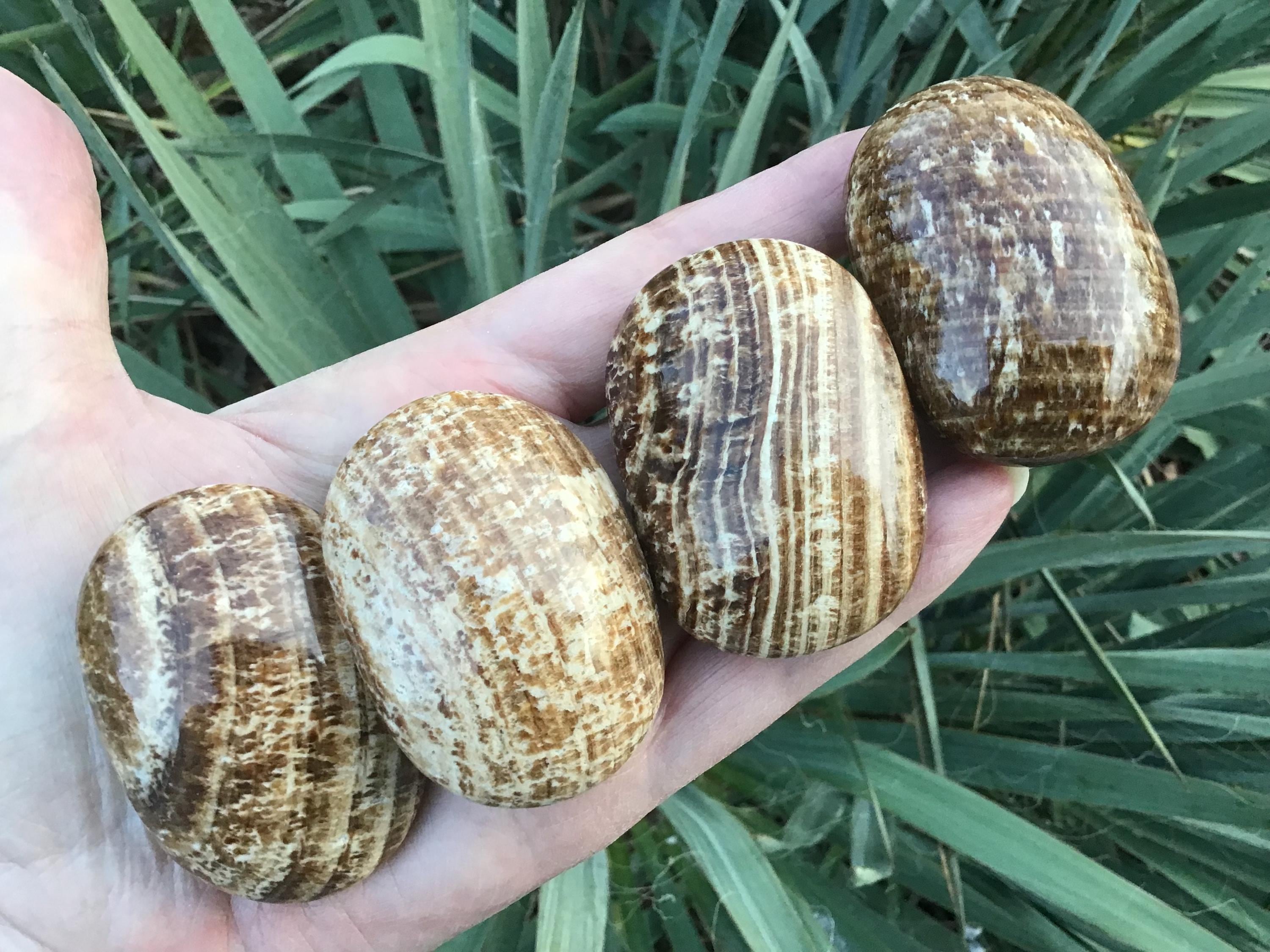 Aragonite Crystal Palm Stones - Pocket, Reiki Healing Stones