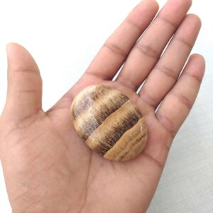 Polished Aragonite Palm Stone: AAA Quality Healing Crystal (54x40x26 MM, 74.5 Grams Polished Aragonite Palm Stone: AAA Quality Healing Crystal (54x40x26 MM, 74.5 Grams