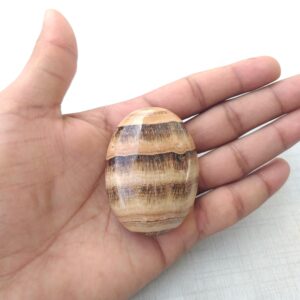 Polished Aragonite Palm Stone: Healing Crystal Decor (58x43x22 MM, 85.4 Grams Polished Aragonite Palm Stone: Healing Crystal Decor (58x43x22 MM, 85.4 Grams
