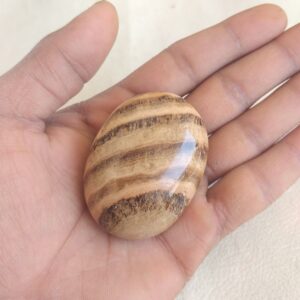 Polished Aragonite Stone Palmstone: Healing Crystal, Home Decor Polished Aragonite Stone Palmstone: Healing Crystal, Home Decor