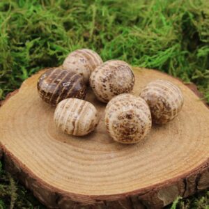 Brown Aragonite Tumbled Medium