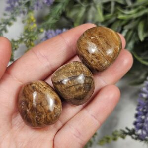 Tumbled Chocolate Aragonite Crystal: Polished Gemstone