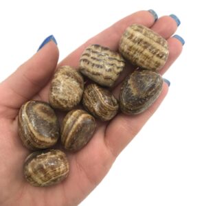 Aragonite Tumbled Stone, Tumbled Aragonite, Pocket Aragonite, T-8