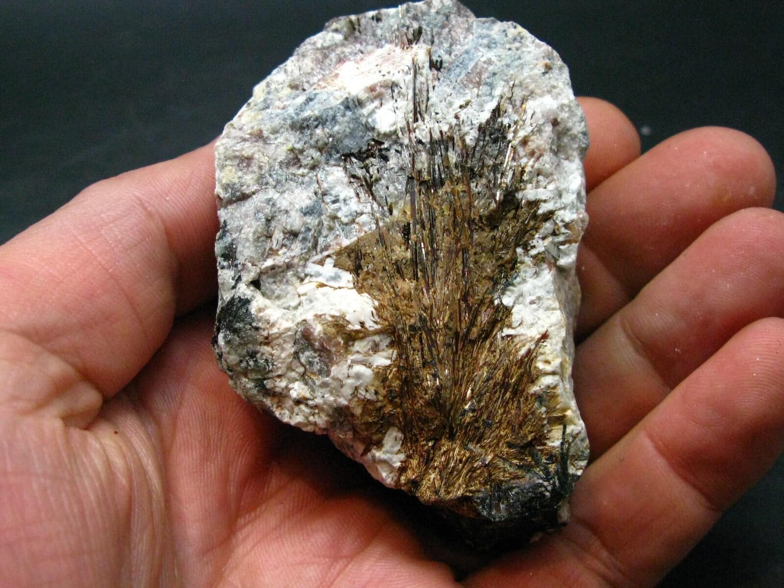 Astrophylite Astrophyllite Cluster From Russia - 3.2"