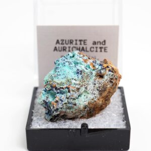 Azurite and Aurichalcite Italy Thumbnail Mineral Specimen Perky Box Azurite and Aurichalcite Italy Thumbnail Mineral Specimen Perky Box