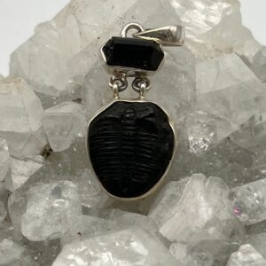 Amazing Trilobite Fossil And Black Tourmaline Pendant