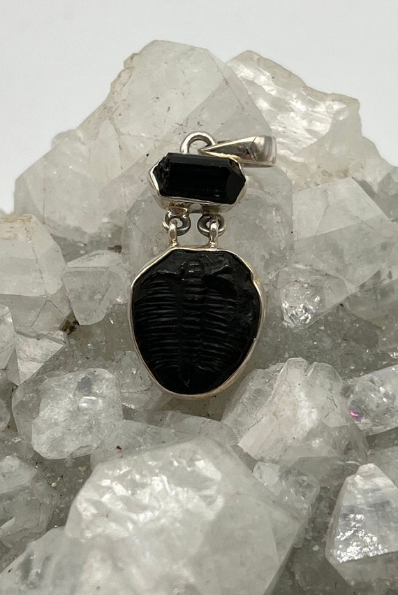 Amazing Trilobite Fossil And Black Tourmaline Pendant