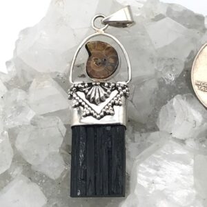 Black Tourmaline And Ammonite And Pendant
