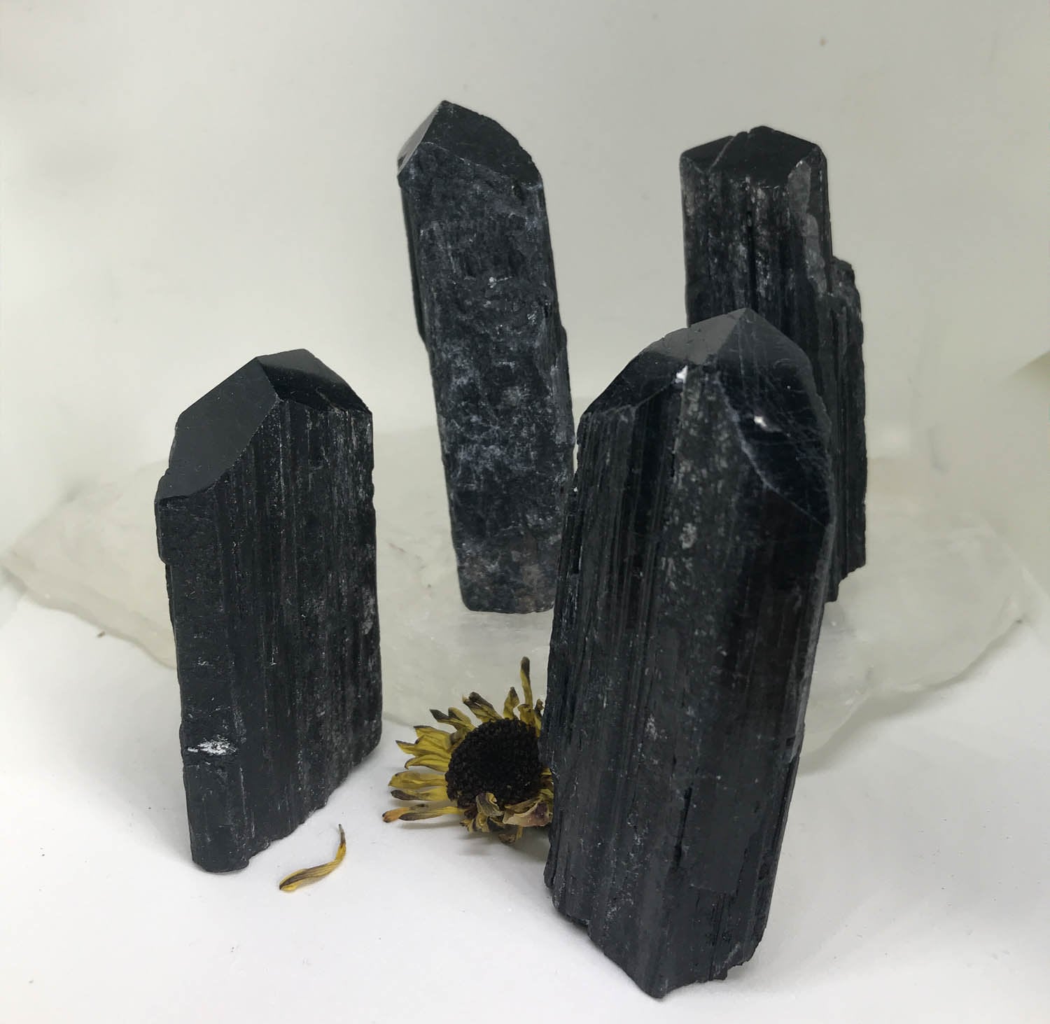 Natural Black Tourmaline (skorl) Logs With Polished Points - The Stones For Protection Natural Black Tourmaline (skorl) Logs With Polished Points - The Stones For Protection