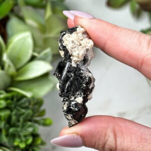 Black Tourmaline | 11g | - #5 (raw Crystal Specimen, Root Chakra, Healing Stone, Grounding)