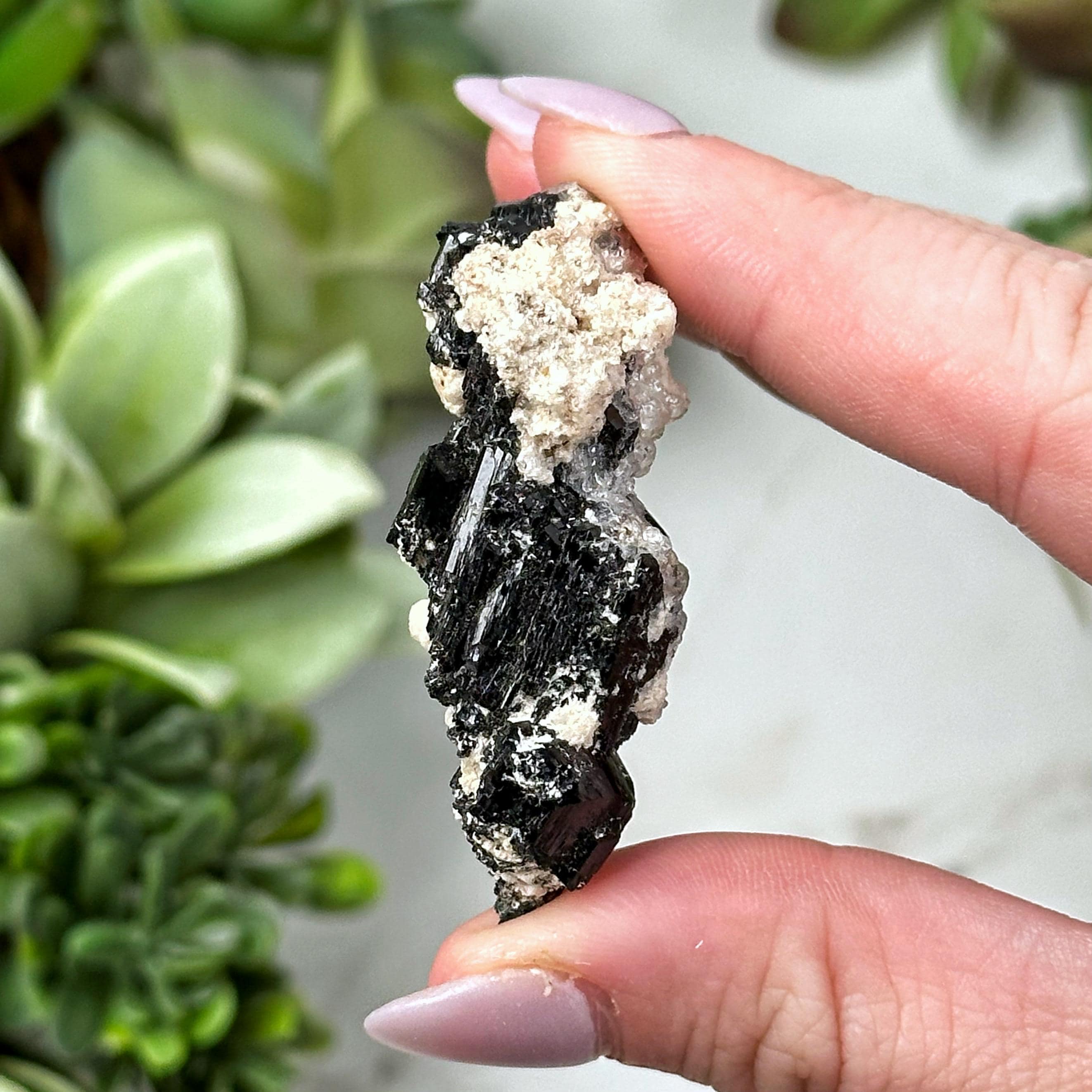 Black Tourmaline | 11g | - #5 (raw Crystal Specimen, Root Chakra, Healing Stone, Grounding)