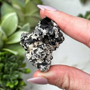 Black Tourmaline | 22g | - #8 (raw Crystal Specimen, Root Chakra, Healing Stone, Grounding)